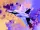 Academy - F-22A Air Dominance Fighter