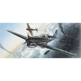 Academy - P-40M/N