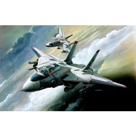 Academy - F-14