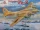 Amodel - Pe-8 artic aircraft