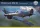 Arma Hobby - Hawker Hurricane Mk IIb Reconnaissance  1/48