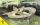 Avis - Lee-Richards Annular monoplane
