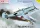 AZ Model - 1/72 Bf 109E-1  JG.77