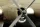 Brengun - B-29 supperfortress ENGINES