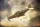 Brengun - 1/144 P-39Q Airacobra plastic injection kit
