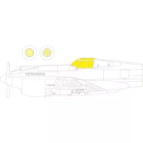 Eduard - Hawk 81-A2 for GREAT WALL HOBBY