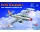 Hobby Boss - American F-84E  Thunderjet
