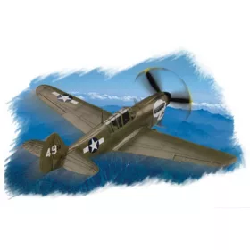 Hobbyboss - P-40N   Kitty Hawk