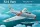 Hobbyboss - FJ-4 Fury