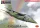 Kovozavody Prostejov - 1/72 Alpha Jet A  QinetiQ