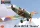 Kovozavody Prostejov - 1/72 Avia BH-9  Boska