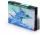 Mistercraft - F-14A Tomcat Two Tailed Lion