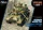 Meng Model - German Medium Tank PzKpfw V Panther