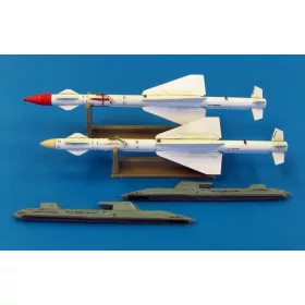 Plus Model - Russian missile R-24R