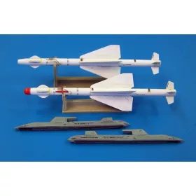 Plus Model - Russian missile R-24T