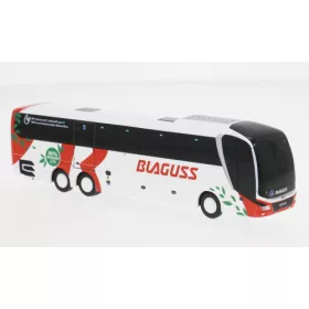 Rietze - MAN Lions Coach L 2017 Blaguss (A)