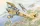 Roden - Albatros D.III Oeffag s.53