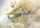 Roden - Sopwith 11/2 Strutter two-seat fighter