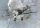 Roden - Nieuport 28
