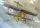 Roden - Fokker D.VIIF