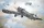 Roden - Junkers D.I early