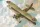 Roden - Gloster Gladiator Mk.II Meteorologikal