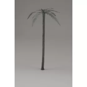 Royal Model - Palm