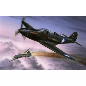 Special Hobby - P-39Q Makin Airacobras Hi-tech