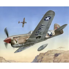   Special Hobby - Curtiss P-40-F Warhawk  Short Tails over Africa