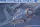 Trumpeter - Grumman F4F-3   Wildcat   (Late)