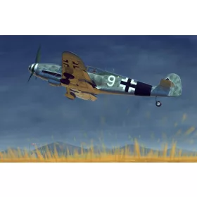 Trumpeter - Messerschmidt Static Aircraft
