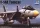 Trumpeter - F-14A Tomcat