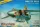 Zvezda - MiG-23 MLD  Flogger-K  (7218)