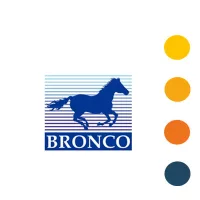 Bronco Models