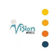 Vision Models